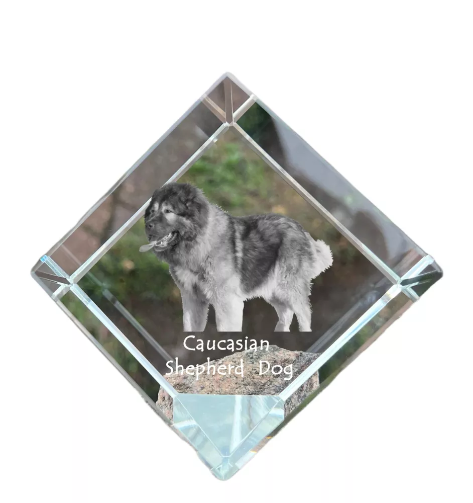 Berger du Caucase - un cube de cristal avec une photo, une photo de cheval dans le cristal, un presse-papiers cubique de la marque Art-Dog