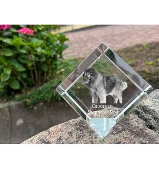 Caucasian Shepherd Dog, Caucasian Ovcharka - crystal cube with a photo, photo of a horse in crystal, cubic paperweight from Art-Dog brand