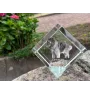 Caucasian Shepherd Dog, Caucasian Ovcharka - crystal cube with a photo, photo of a horse in crystal, cubic paperweight from Art-Dog brand