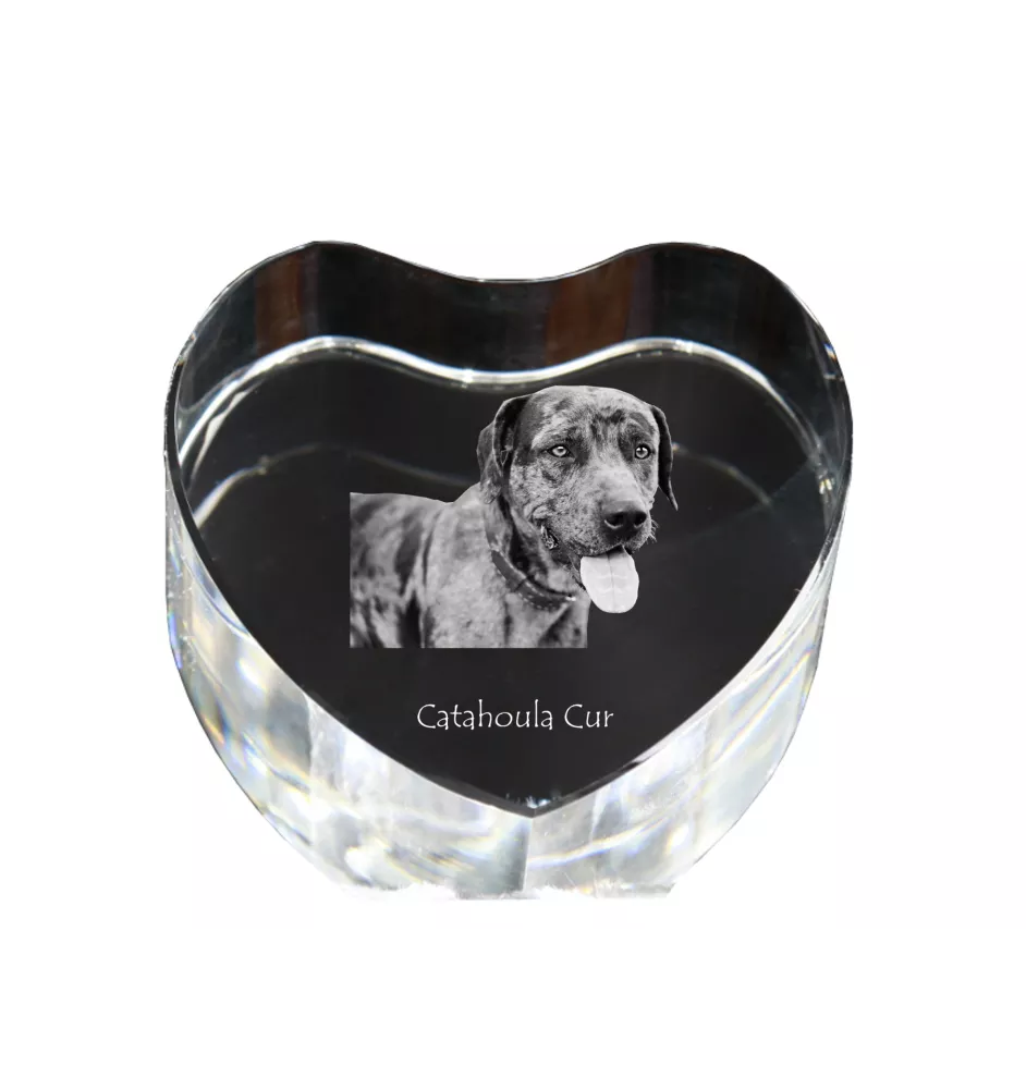 Catahoula Leopard Dog, Catahoula Cur - Hundebild im Kristall, Kristallherz, einzigartiger Bilderrahmen der Marke Art-Dog