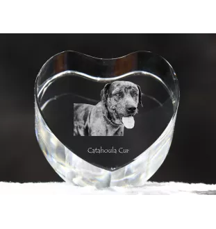 Catahoula Leopard Dog, Catahoula Cur - Hundebild im Kristall, Kristallherz, einzigartiger Bilderrahmen der Marke Art-Dog