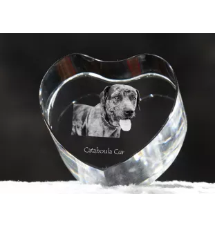 Chien léopard catahoula, Catahoula Leopard Dog - une photo de chien dans un cristal, un cœur en cristal, un cadre photo exceptionnel de la marque Art-Dog