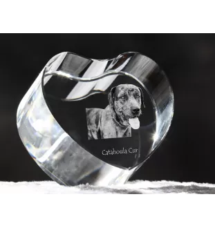 Catahoula Leopard Dog, Catahoula Cur - Hundebild im Kristall, Kristallherz, einzigartiger Bilderrahmen der Marke Art-Dog