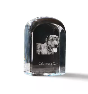 Chien léopard catahoula, Catahoula Leopard Dog - un cube de cristal avec une photo, une photo de chien dans le cristal, un presse-papiers cubique de la marque Art-Dog
