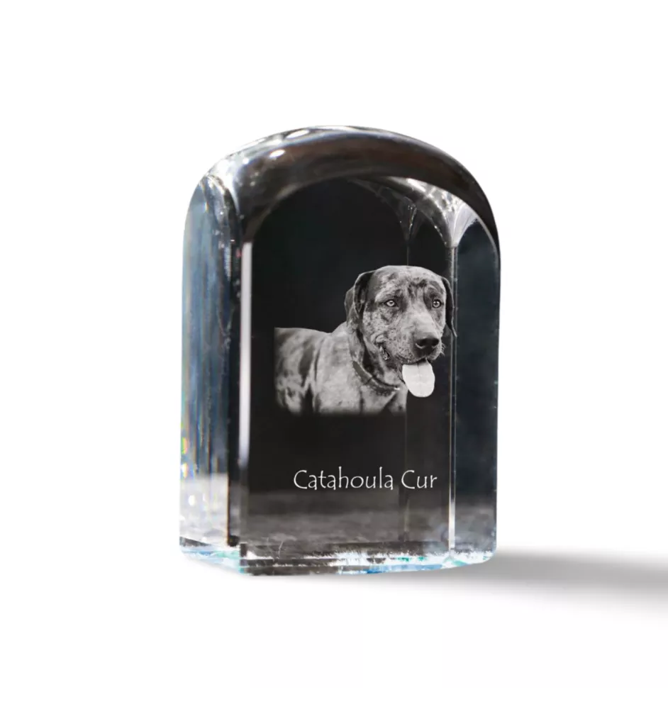 Catahoula Leopard Dog, Catahoula Cur - crystal cube with a photo, photo of a dog in crystal, cubic paperweight from Art-Dog brand