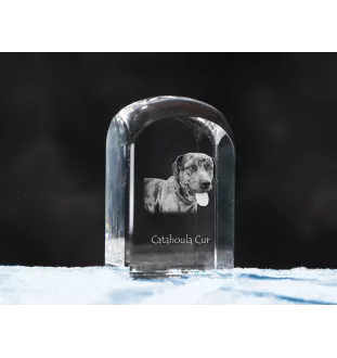 Chien léopard catahoula, Catahoula Leopard Dog - un cube de cristal avec une photo, une photo de chien dans le cristal, un presse-papiers cubique de la marque Art-Dog