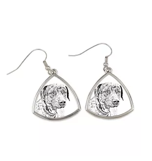 Chien léopard catahoula, Catahoula Leopard Dog - boucles d'oreilles avec chien, boucles d'oreilles pendantes avec photo, bijoux personnalisés avec impression de la marque Art-Dog