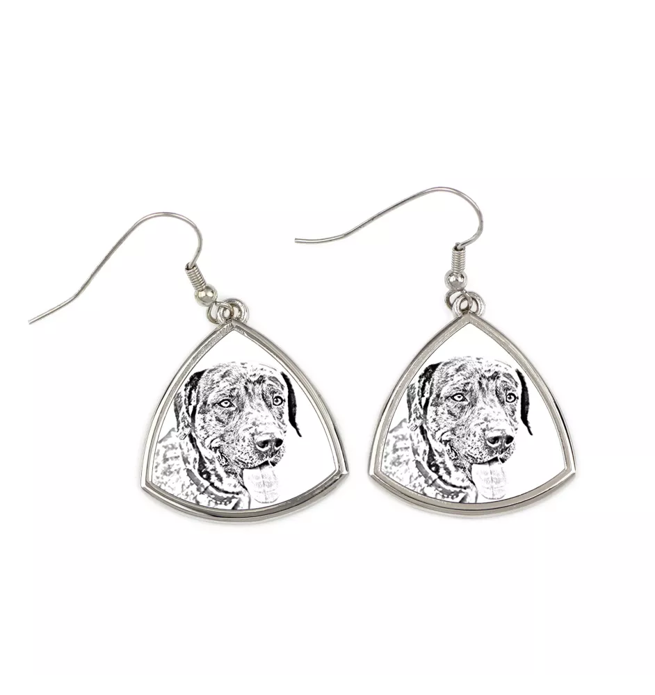 Catahoula Leopard Dog, Catahoula Cur - dog earrings, hanging earrings with a picture, personalized jewelry with Art-Dog brand print