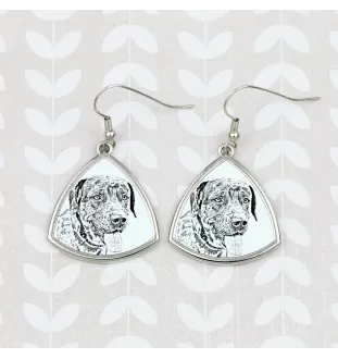 Chien léopard catahoula, Catahoula Leopard Dog - boucles d'oreilles avec chien, boucles d'oreilles pendantes avec photo, bijoux personnalisés avec impression de la marque Art-Dog