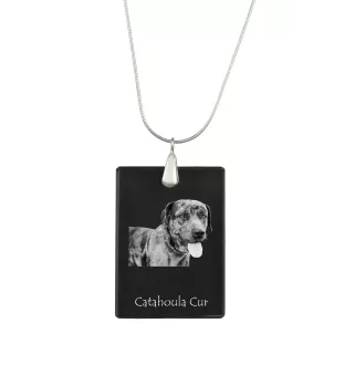 Chien léopard catahoula, Catahoula Leopard Dog - Pendentif en cristal avec chien, collier en argent avec photo, pendentif personnalisé par la marque Art-Dog