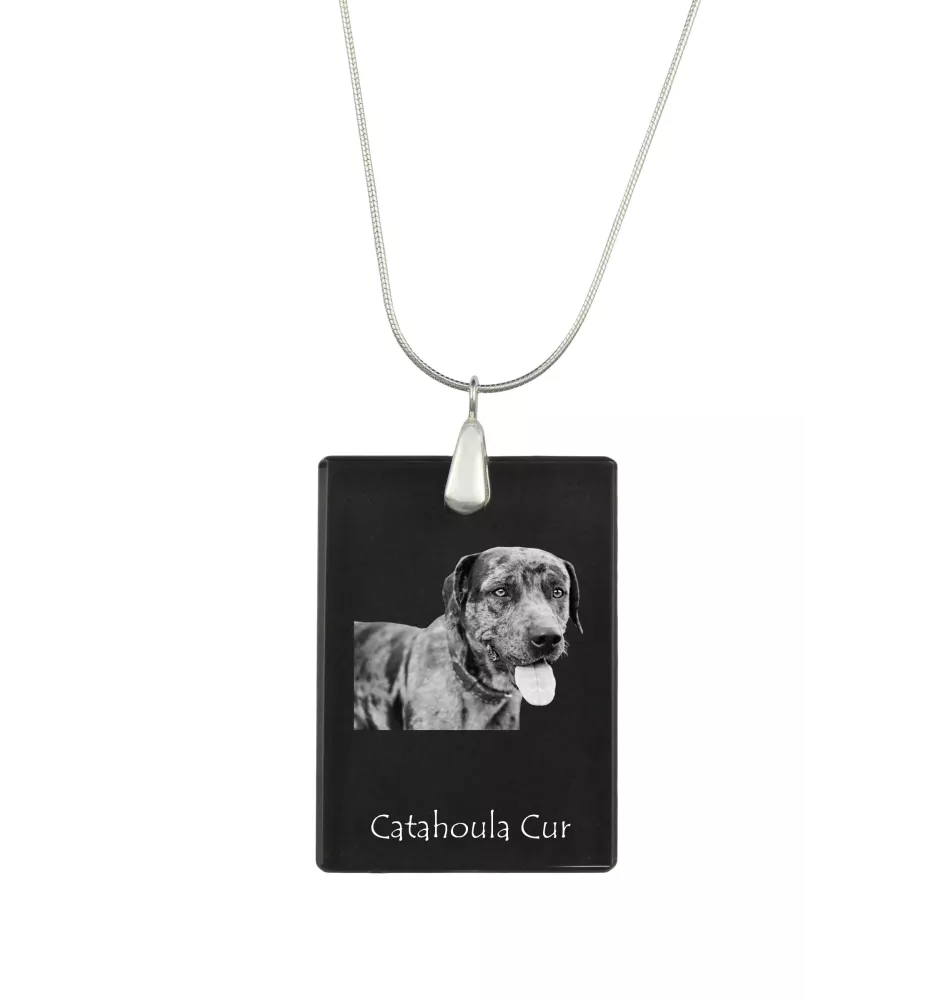 Catahoula Leopard Dog, Catahoula Cur - Crystal pendant with dog, silver necklace with photo, personalised pendant by Art-Dog brand