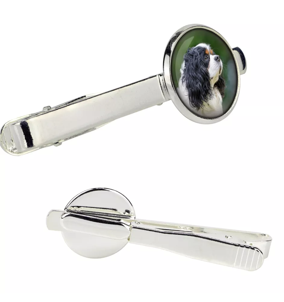 Cavalier King Charles Spaniel - tie clip in a box, stylish tie, personalized jewelry from the Art-Dog brand