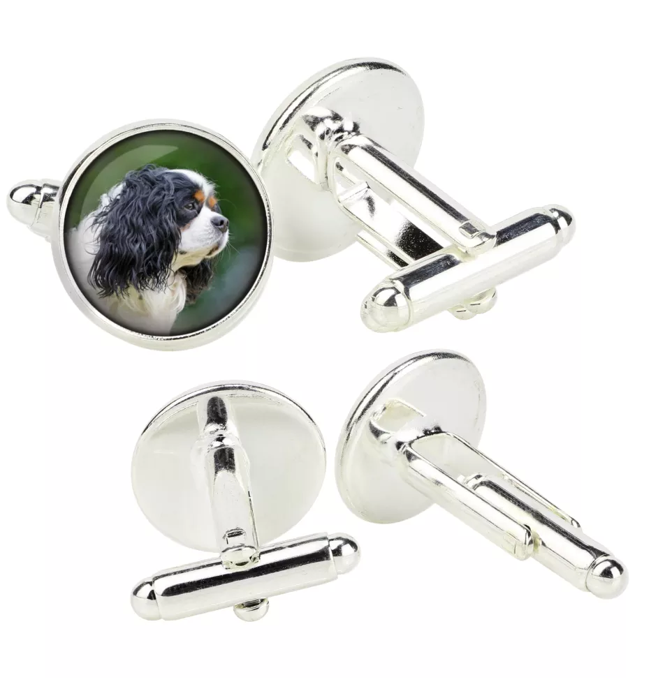 Cavalier King Charles Spaniel - Boutons de manchette dans une boîte, bijoux faits à la main, produit de la marque Art-Dog