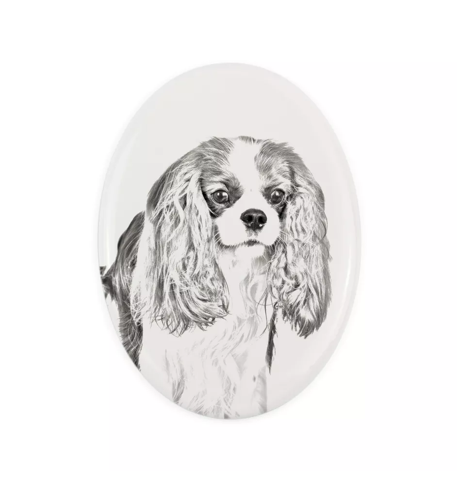 Cavalier King Charles Spaniel - Gedenktafel mit einem Foto eines Hundes, Grabplatte mit Druck, personalisierte ovale Platte der Marke Art-Dog