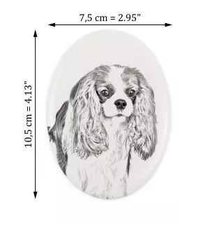 Cavalier King Charles Spaniel - commemorative plaque with a photo of a dog, tombstone with a print, personalized oval plaque from the Art-Dog brand