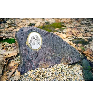 Cavalier King Charles Spaniel - commemorative plaque with a photo of a dog, tombstone with a print, personalized oval plaque from the Art-Dog brand