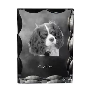 Cavalier King Charles Spaniel - cristal avec photo de chien, statuette en verre avec photo, cadre exceptionnel avec photo de la marque Art-Dog