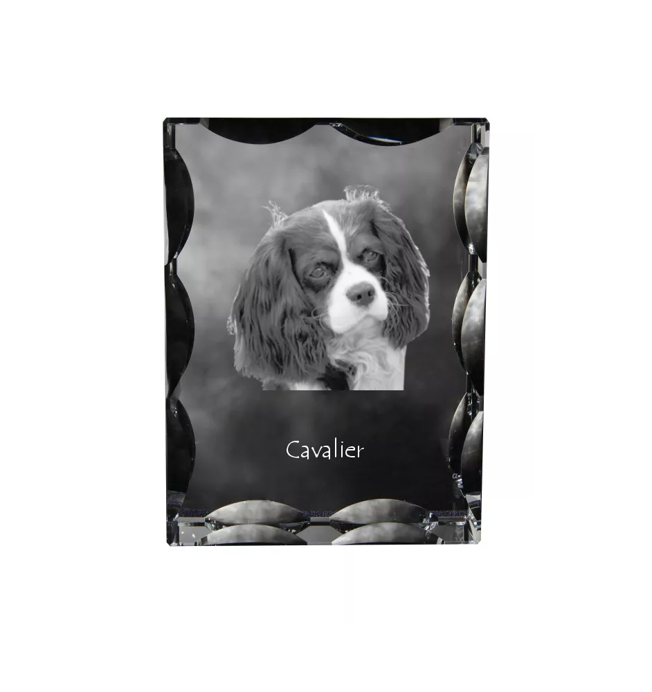 Cavalier King Charles Spaniel - crystal with a picture of a dog, glass statuette with a picture, unique frame with a picture from Art-Dog brand
