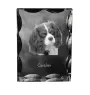 Cavalier King Charles Spaniel - cristal avec photo de chien, statuette en verre avec photo, cadre exceptionnel avec photo de la marque Art-Dog