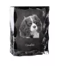 Cavalier King Charles Spaniel - Kristall mit einem Hundebild, Glasstatuette mit einem Bild, einzigartiger Bilderrahmen der Marke Art-Dog
