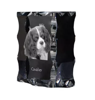 Cavalier King Charles Spaniel - crystal with a picture of a dog, glass statuette with a picture, unique frame with a picture from Art-Dog brand
