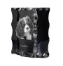 Cavalier King Charles Spaniel ramka kryształowa z psem Art-Dog