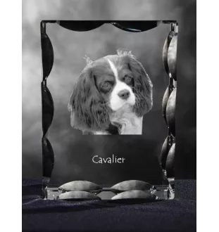 Cavalier King Charles Spaniel - Kristall mit einem Hundebild, Glasstatuette mit einem Bild, einzigartiger Bilderrahmen der Marke Art-Dog