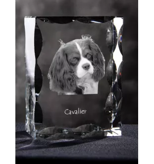 Cavalier King Charles Spaniel - cristal avec photo de chien, statuette en verre avec photo, cadre exceptionnel avec photo de la marque Art-Dog