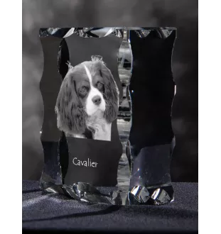 Cavalier King Charles Spaniel - Kristall mit einem Hundebild, Glasstatuette mit einem Bild, einzigartiger Bilderrahmen der Marke Art-Dog