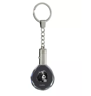 Cavalier King Charles Spaniel - pendentif avec une photo de chien, porte-clés en cristal dans une boîte cadeau, un cadeau unique par Art-Dog