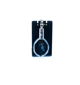 Cavalier King Charles Spaniel - pendentif avec une photo de chien, porte-clés en cristal dans une boîte cadeau, un cadeau unique par Art-Dog