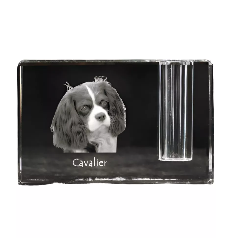 Cavalier King Charles Spaniel - Porte-stylos, organiseur en cristal avec photo de chien, décoration de bureau unique par la marque Art-Dog