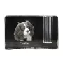 Cavalier King Charles Spaniel - Porte-stylos, organiseur en cristal avec photo de chien, décoration de bureau unique par la marque Art-Dog