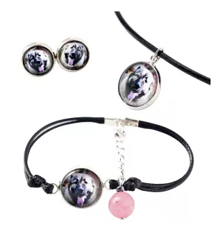 Kaukasischer Schäferhund, Kaukasischer Owtscharka - Schmuckset in einer Schachtel, Halskette, Ohrringe, Armband, Produkte der Marke Art-Dog