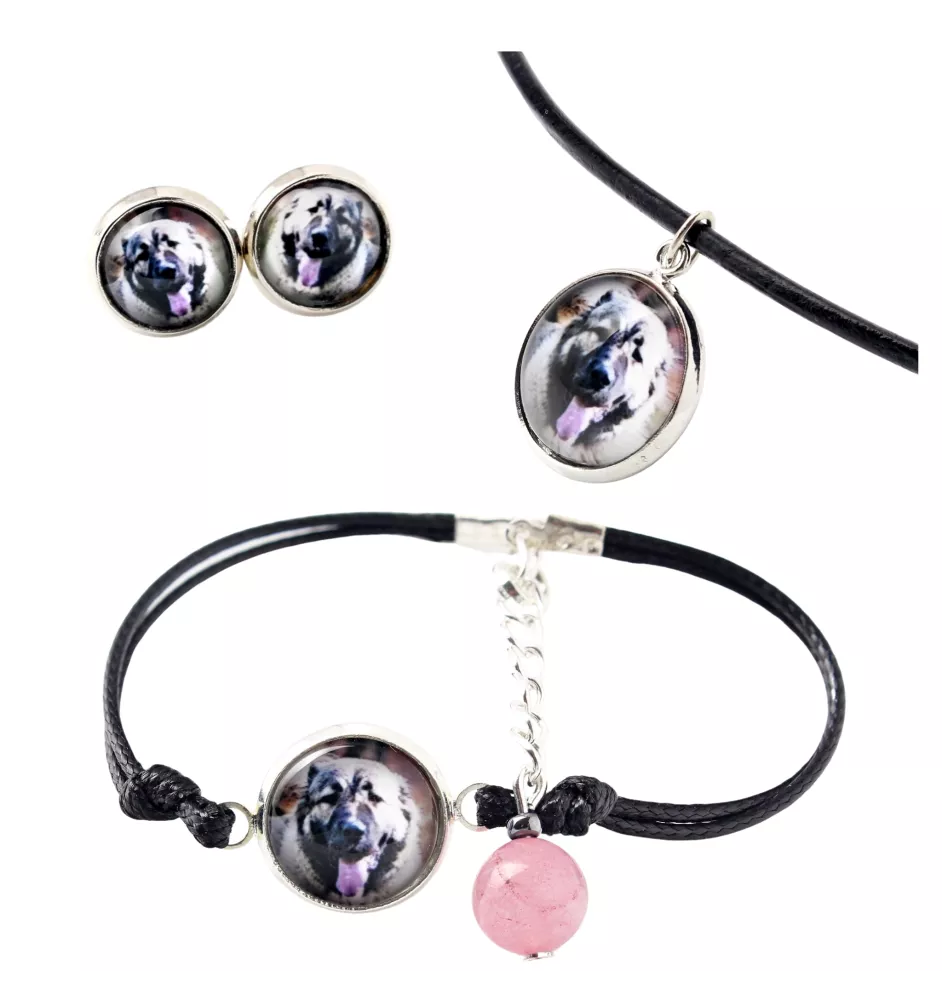 Berger du Caucase - ensemble de bijoux dans une boîte, collier, boucles d'oreilles, bracelet, produits de la marque Art-Dog