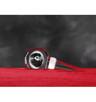 Cavalier King Charles Spaniel - Bouchon de bouteille en cristal, bouchon de vin unique avec photo, cadeau personnalisé pour sommelier par la marque Art-Dog