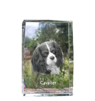 Cavalier King Charles Spaniel - Kristall mit einem Hundebild, Bild im Glas, moderne Ausstellung des Art-Dog-Bildes.