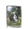 Cavalier King Charles Spaniel - crystal with a picture of a dog, photo in glass, modern exhibition of Art-Dog brand photo