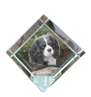 Cavalier King Charles Spaniel - crystal cube with a photo, photo of a horse in crystal, cubic paperweight from Art-Dog brand