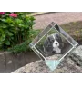 Cavalier King Charles Spaniel - crystal cube with a photo, photo of a horse in crystal, cubic paperweight from Art-Dog brand