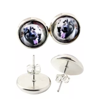 Berger du Caucase - boucles d'oreilles dans une boîte, votre photo, bijoux faits à la main, produit de la marque Art-Dog.