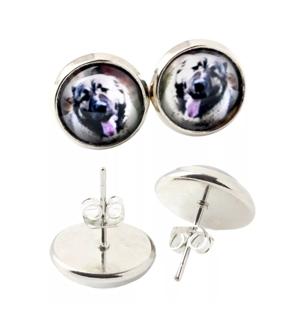 Berger du Caucase - boucles d'oreilles dans une boîte, votre photo, bijoux faits à la main, produit de la marque Art-Dog.
