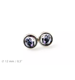Kaukasischer Schäferhund, Kaukasischer Owtscharka - Ohrringe in einer Schachtel, Ihr Foto, handgefertigter Schmuck, Eigenmarke von Art-Dog.