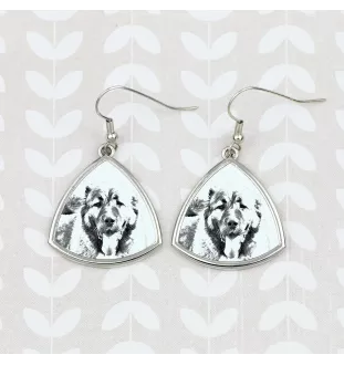 Kaukasischer Schäferhund, Kaukasischer Owtscharka - Hund Ohrringe, hängende Ohrringe mit Bild, personalisierter Schmuck mit dem Aufdruck der Marke Art-Dog