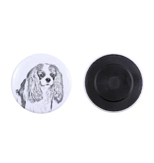 Cavalier King Charles Spaniel - aimant avec un œil de chien, exceptionnellement léger, aimant puissant, produit fabriqué à la main par la marque Art-Dog