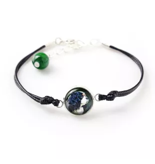 Cavalier King Charles Spaniel - ensemble de bijoux avec votre photo, accessoire féminin, article fait main, produit fabriqué à la main avec passion pour la création de la marque Art-Dog