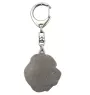Central Asia Shepherd Dog, Central Asian Shepherd Dog - Silver-plated key ring with a dog in a gift box, handbag decoration, backpack pendant by Art-Dog brand