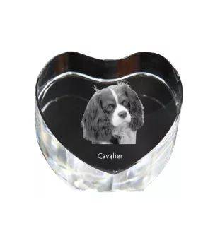 Cavalier King Charles Spaniel - une photo de chien dans un cristal, un cœur en cristal, un cadre photo exceptionnel de la marque Art-Dog