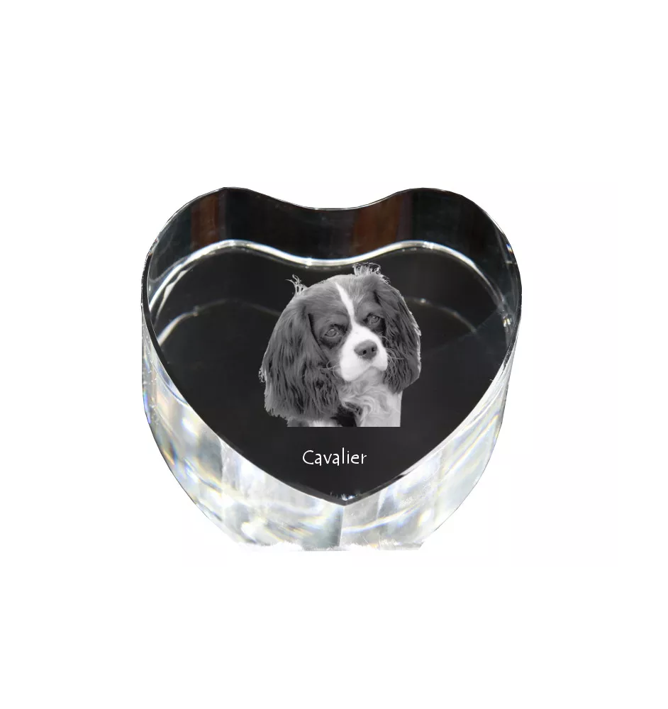 Cavalier King Charles Spaniel - a photo of a dog in crystal, crystal heart, unique photo frame from the Art-Dog brand