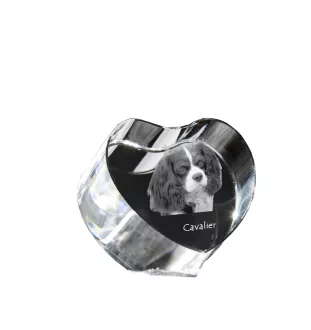 Cavalier King Charles Spaniel - a photo of a dog in crystal, crystal heart, unique photo frame from the Art-Dog brand
